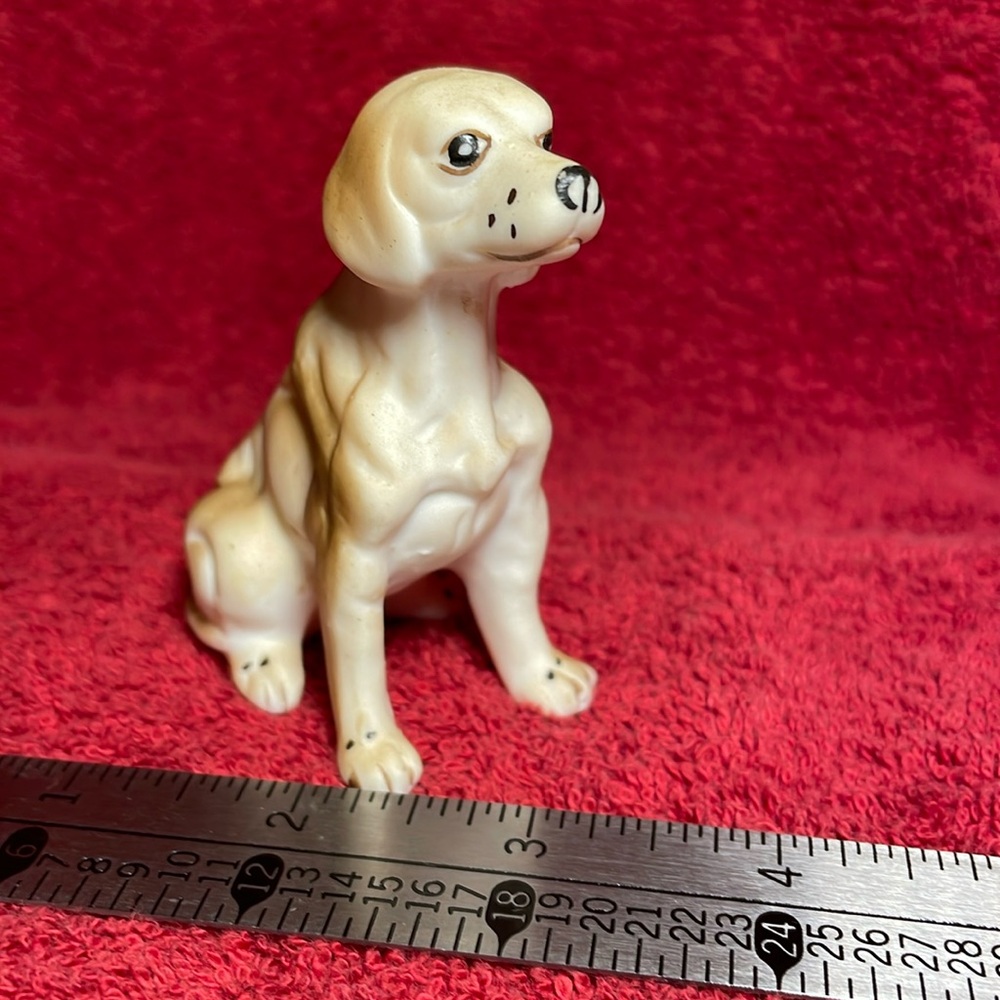 Cute Dog 1957 from MOMS COLLECTION